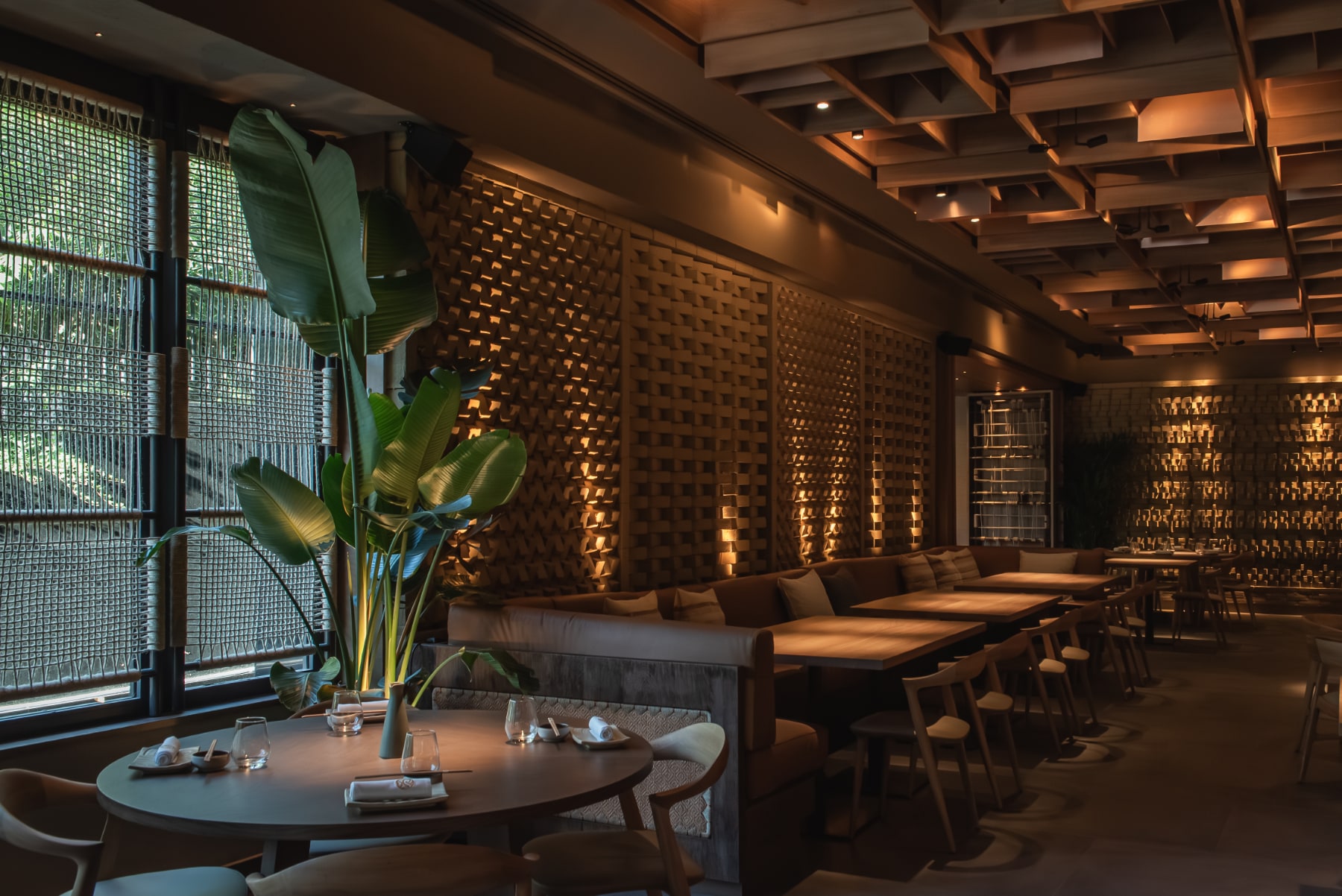 Proyecto Iluminacion Restauracion y Espacios Gastronomicos para Restaurante Osaka en Madrid